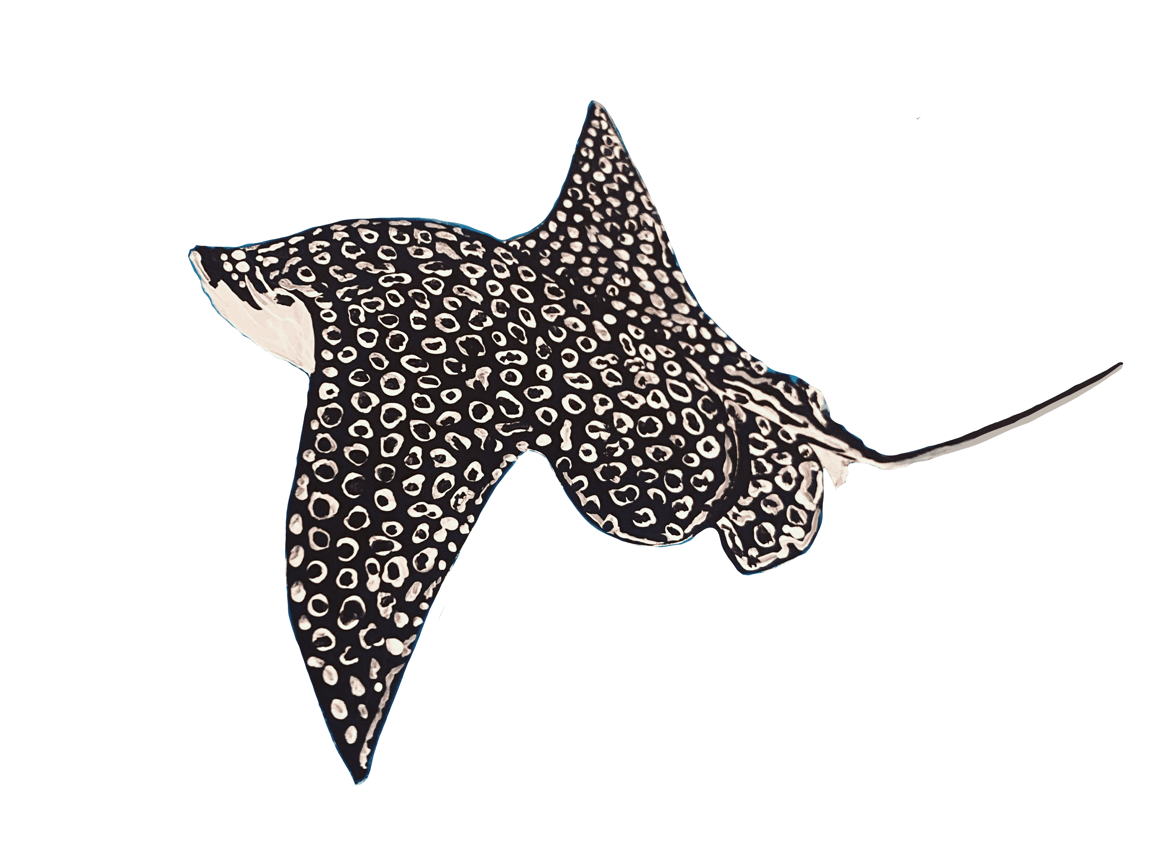 Eagle Ray