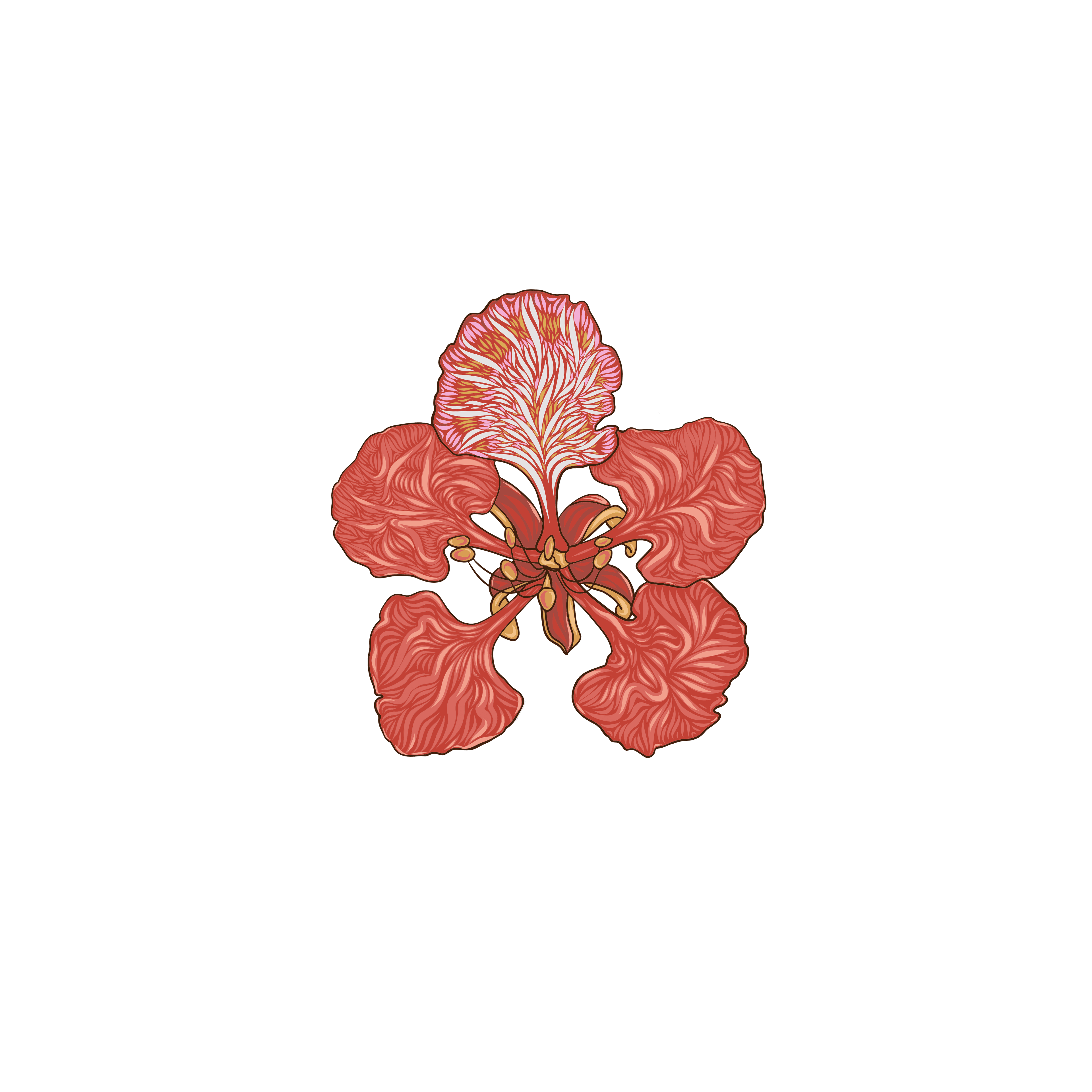 Flamboyan in June