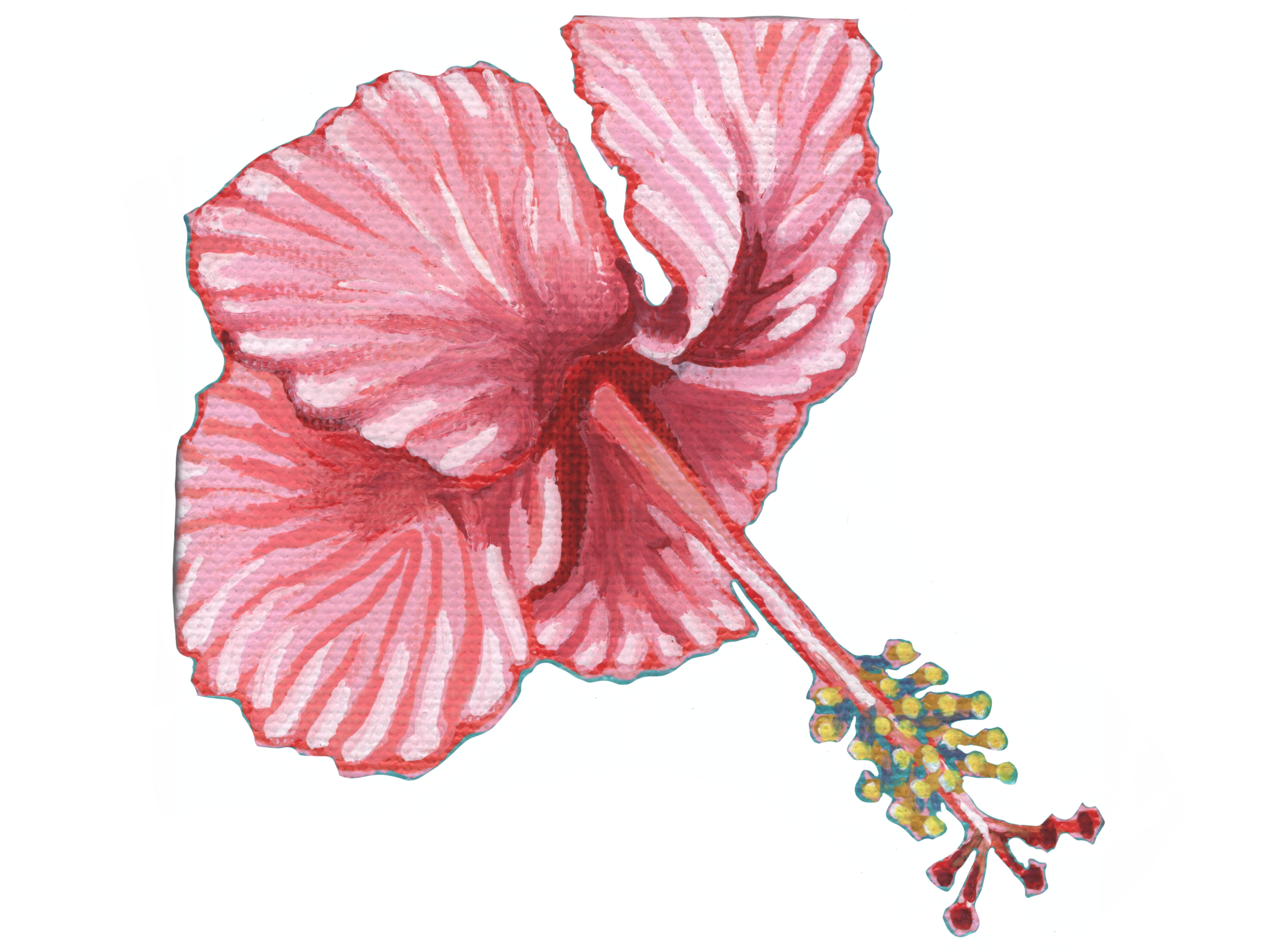 Hibiscus at the Fence
