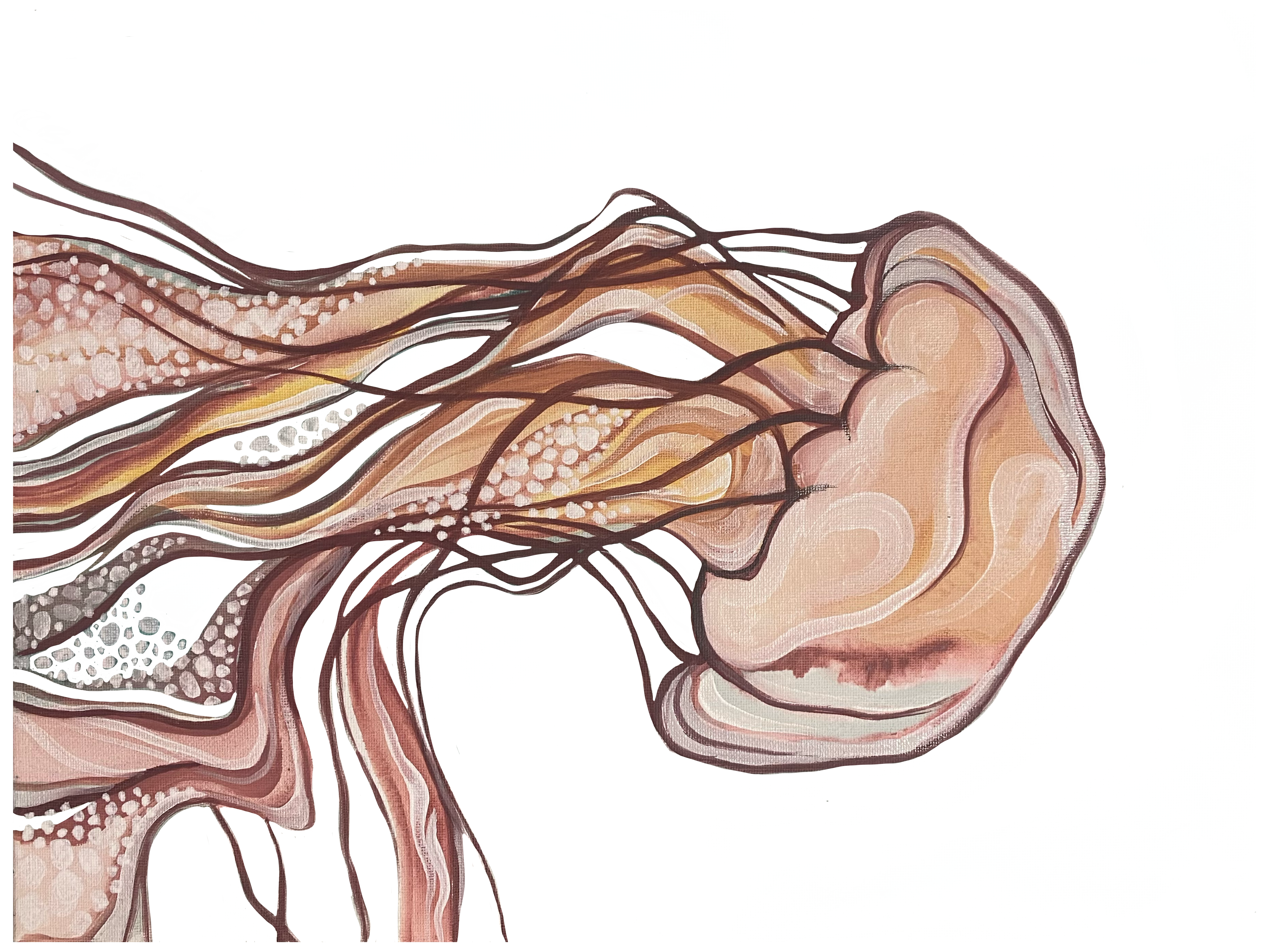 Jellyfish Drift