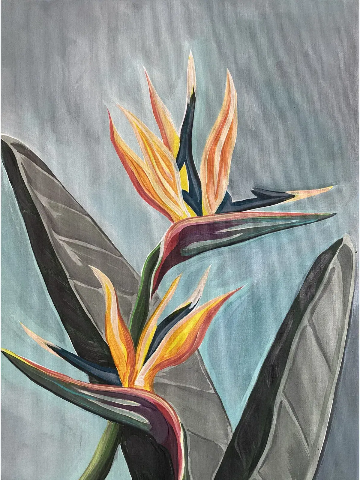 Bird of Paradise