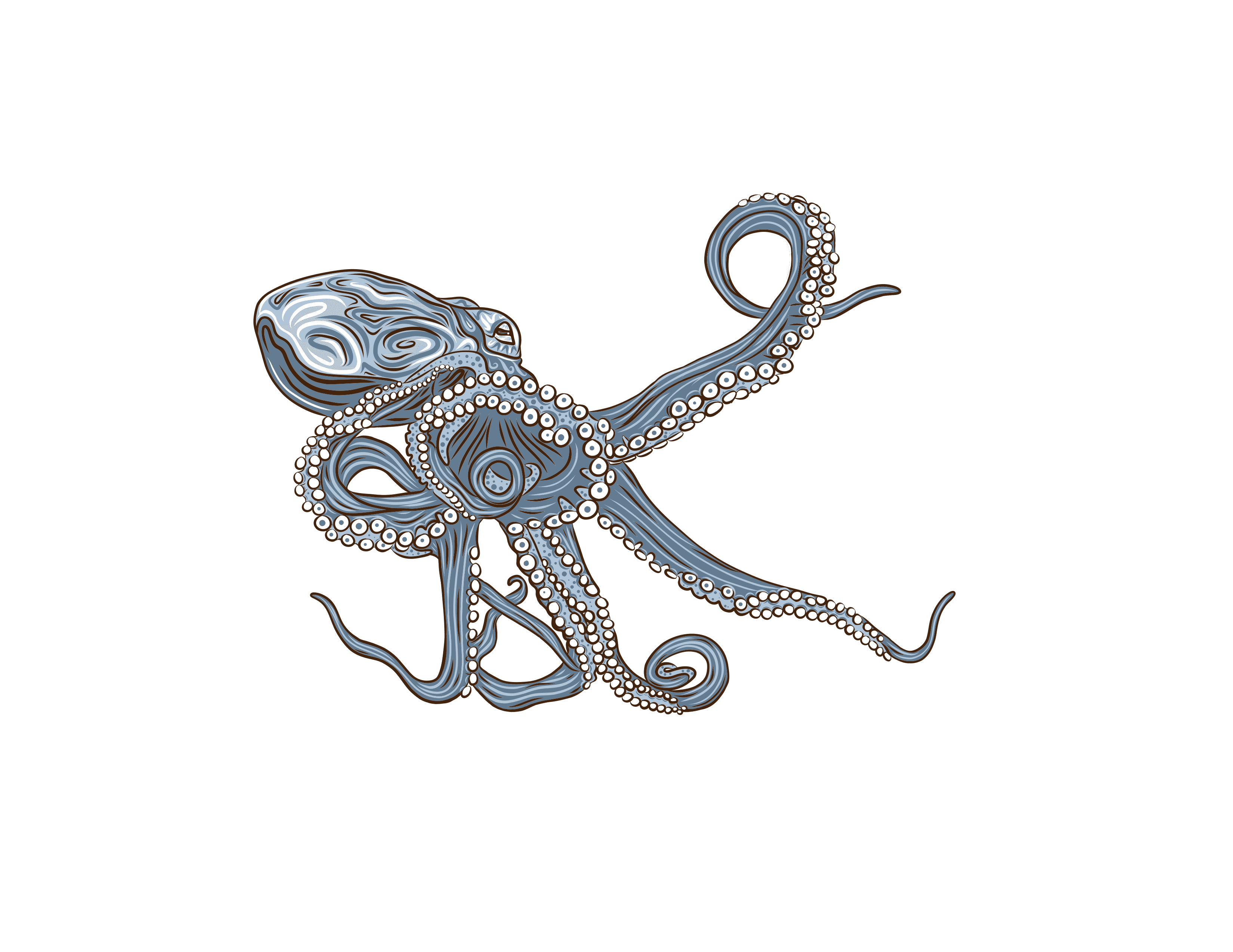Octopus original art