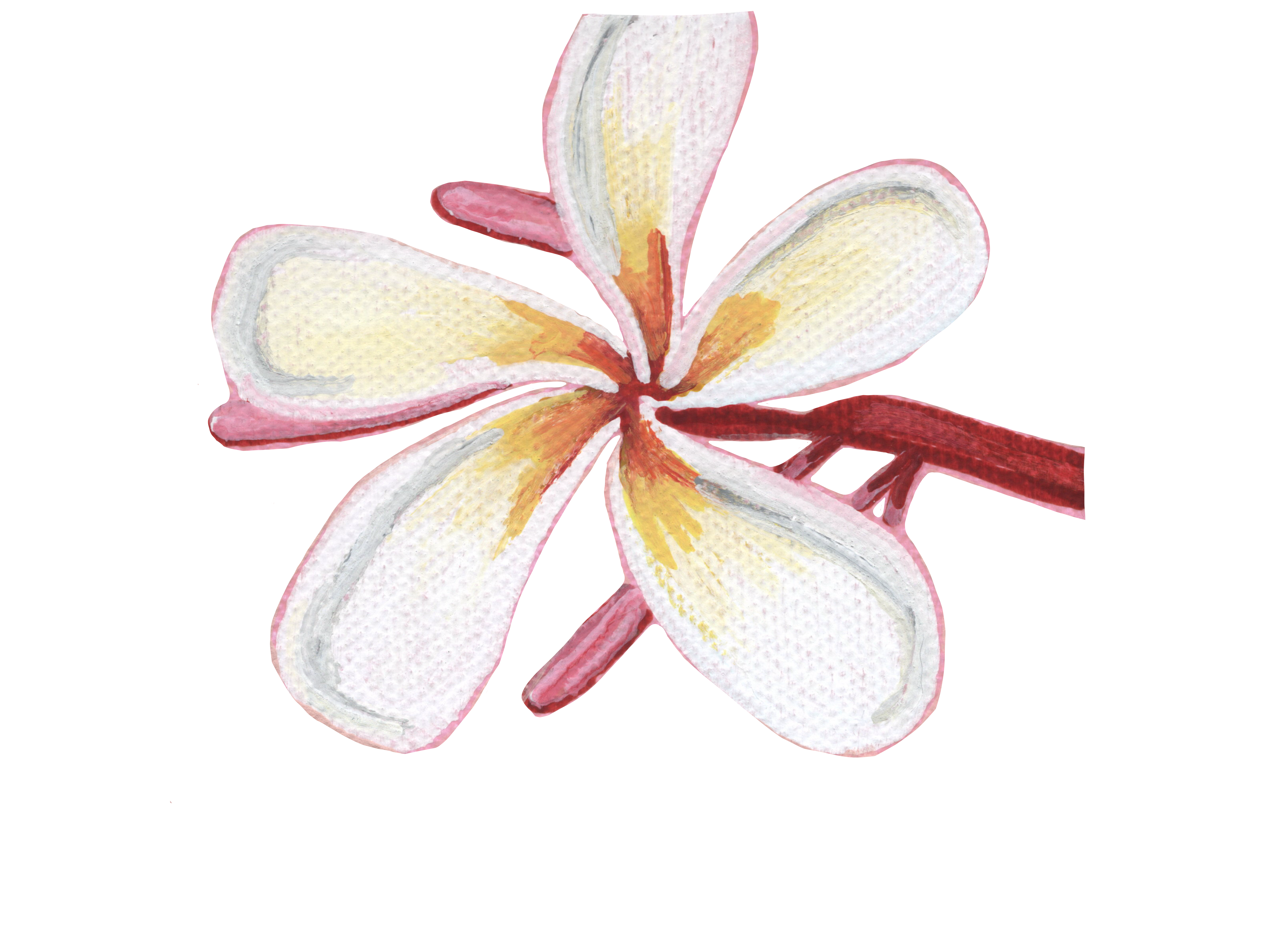 Plumeria design